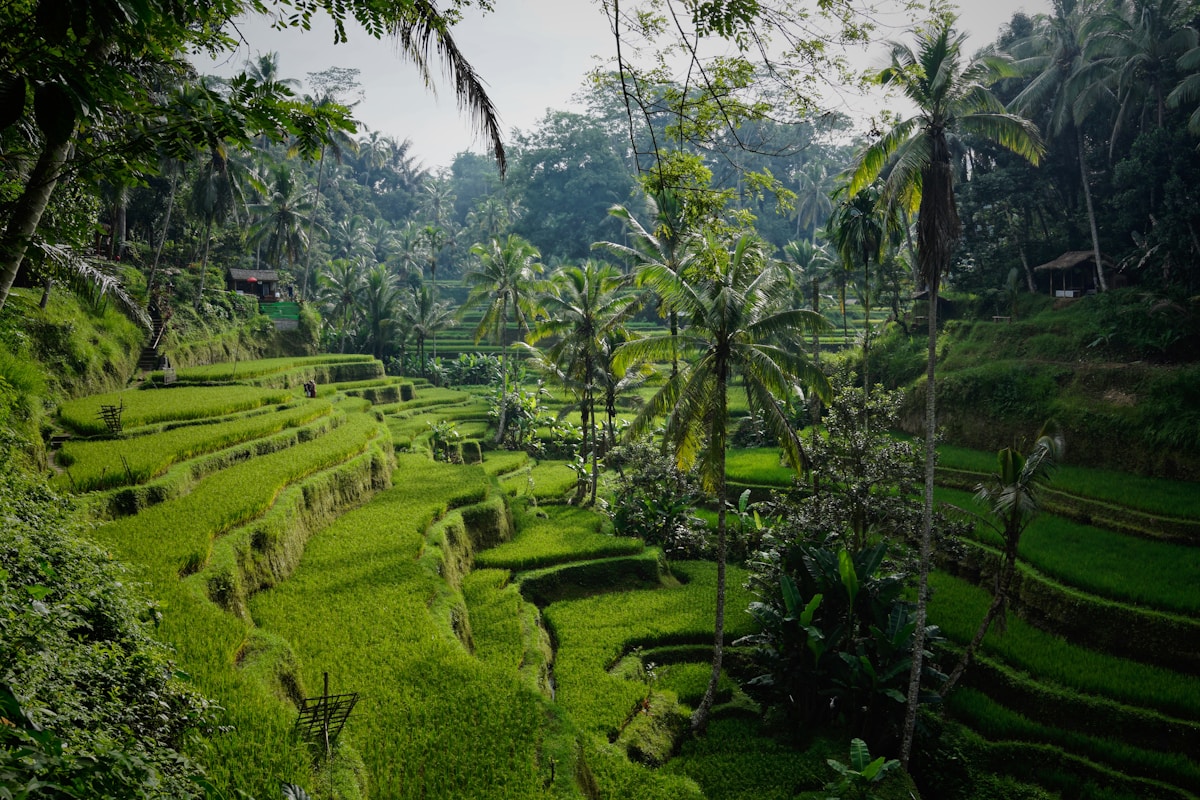 Bali & Jakarta — spiritualité et modernité